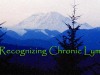 Prologue ~ Guest Series from Washington’s Recognizing Chronic Lyme Bill Supporters